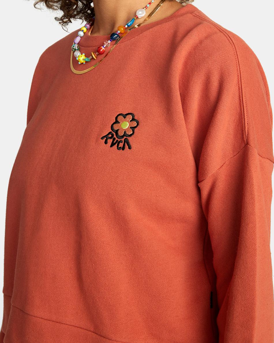 Cinnamon Rvca Vibe Terry Pullover Women's Hoodie | GUSUC29801