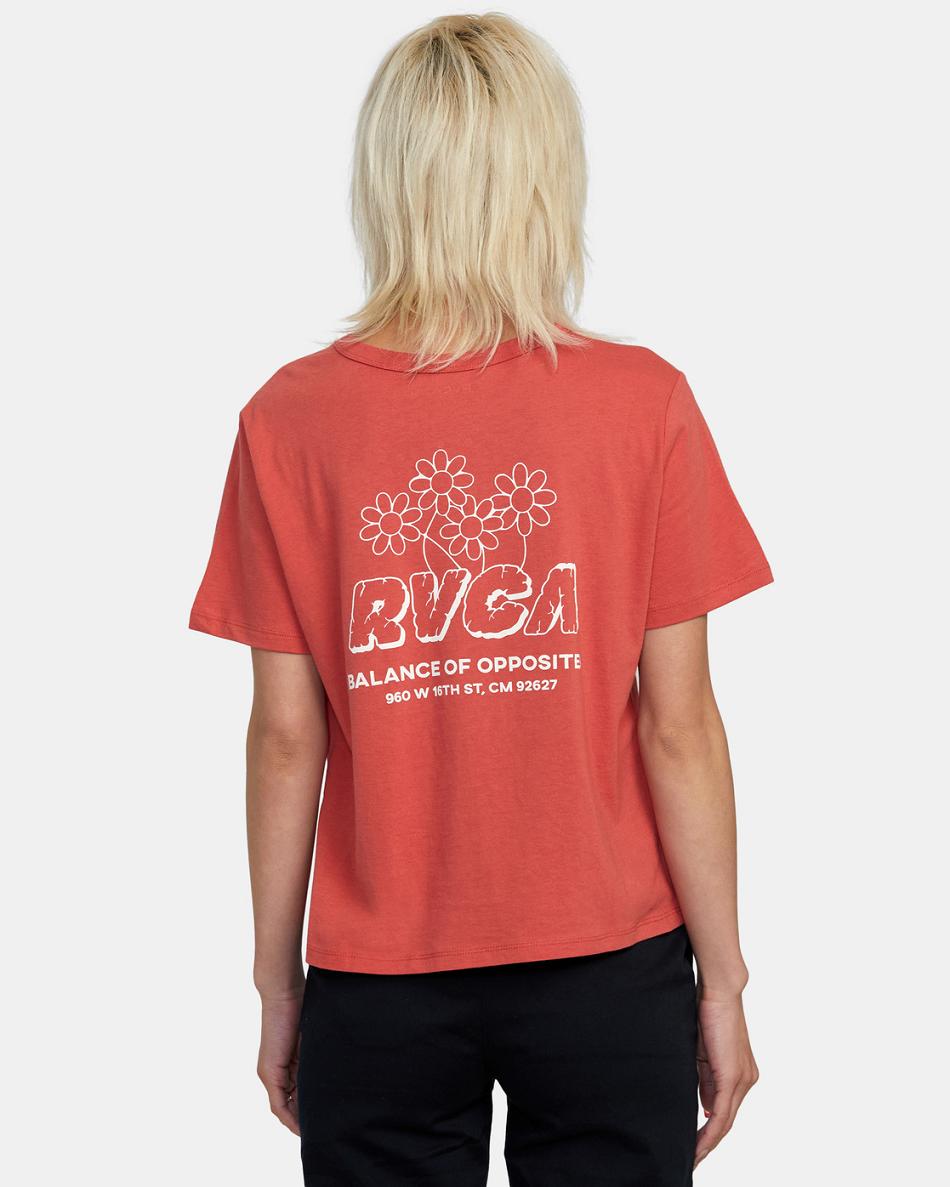 Red Earth Rvca Gardener Graphic Women's T shirt | BUSSD92434