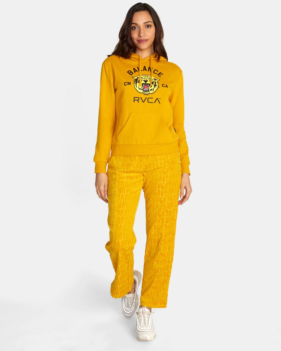 Tawny Gold Rvca Squadron Hoodie Women's Loungewear | FUSHY78073
