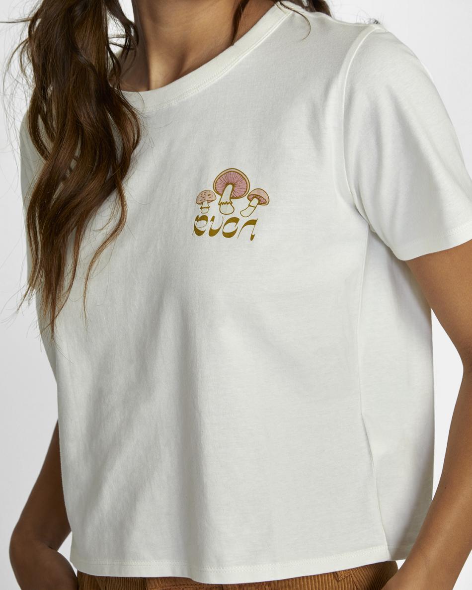 Vintage White Rvca Fungi Boxed Women's T shirt | LUSSX96738