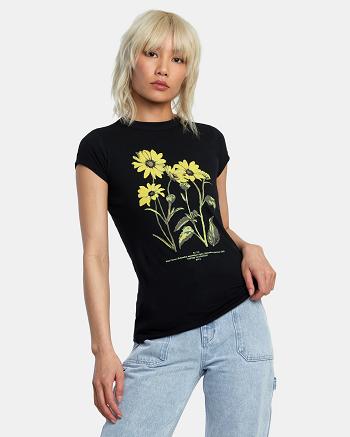 Black Rvca Botanical Naughty Women's T shirt | XUSBH92549